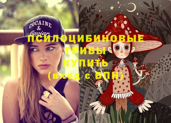 метамфетамин Алексин