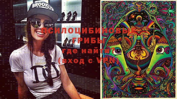 прущий лед Алзамай