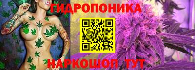 соль ск Камышлов