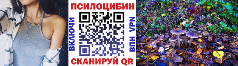 Псилоцибиновые грибы MAGIC MUSHROOMS  купить  цена  Сосновый Бор 