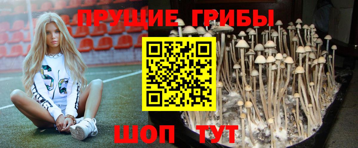 Метамфетамин  А ПВП СК кристаллы  Меф   MDMA  Вход с VPN  ГАШ  COCAIN  Сосновый Бор  ГАШ 