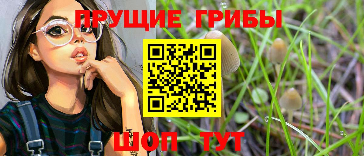 Сосновый Бор  купить наркотик  Вход с VPN  Галлюциногенные грибы GOLDEN TEACHER  Галлюциногенные грибы ЛСД 