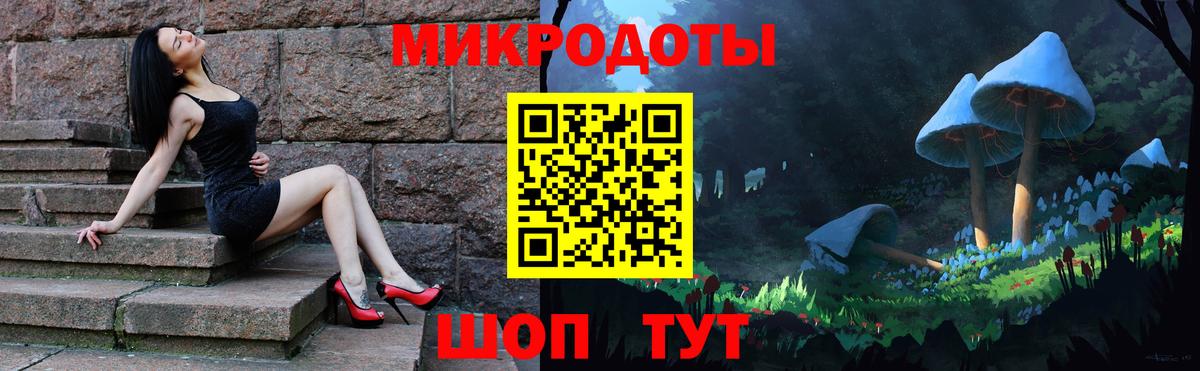 Псилоцибиновые грибы мицелий Сосновый Бор