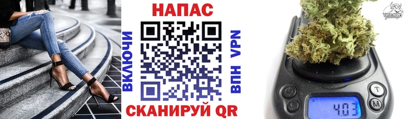 купить закладку  Сосновый Бор  Каннабис план 